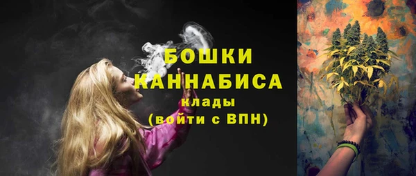 кокс Елизово