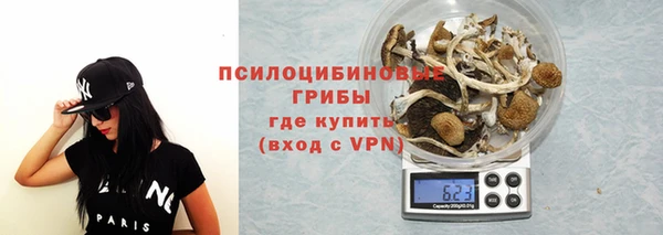МДПВ Елабуга
