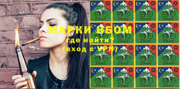 кокс Елизово